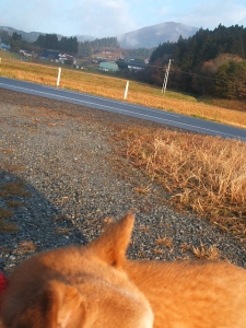 2013-12-01-046.jpg