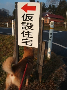 2013-12-01-052.jpg