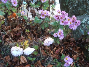 2013-12-01-058.jpg