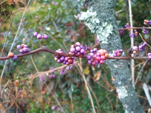 2013-12-01-059.jpg