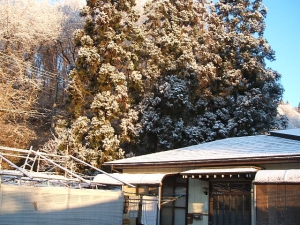 2013-12-08-005.jpg