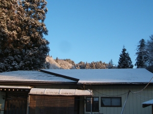 2013-12-08-006.jpg