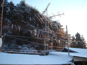 2013-12-08-008.jpg
