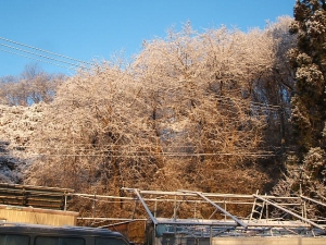 2013-12-08-009.jpg