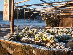 2013-12-08-010.jpg