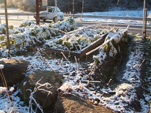 2013-12-08-014.jpg