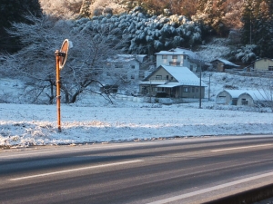 2013-12-08-016.jpg