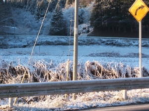 2013-12-08-017.jpg