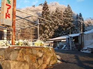 2013-12-08-018.jpg