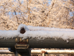2013-12-08-021.jpg