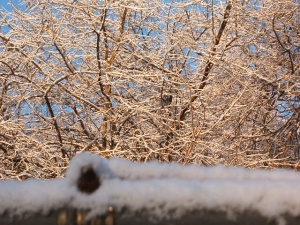2013-12-08-022.jpg