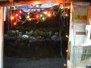 2013-12-14-007.jpg