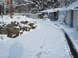 2013-12-15-001.jpg