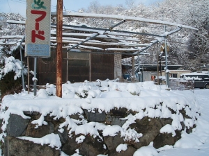 2013-12-15-002.jpg