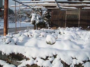 2013-12-15-003.jpg