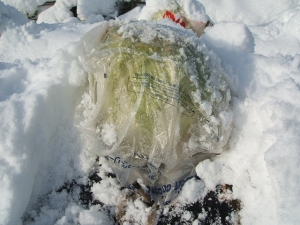 2013-12-15-005.jpg