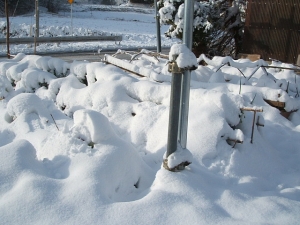 2013-12-15-006.jpg