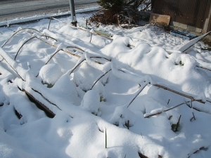 2013-12-15-008.jpg