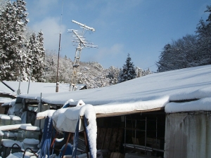 2013-12-15-018.jpg