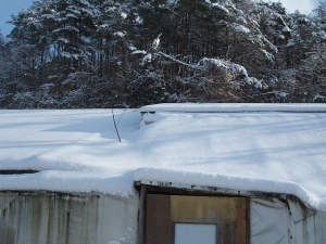 2013-12-15-020.jpg