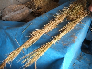 2013-12-15-035.jpg