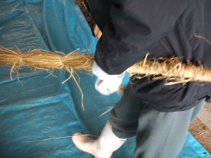 2013-12-15-037.jpg