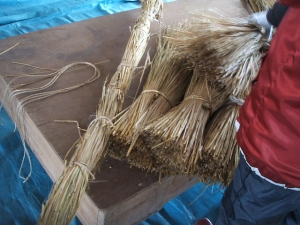 2013-12-15-039.jpg