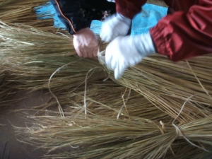 2013-12-15-041.jpg