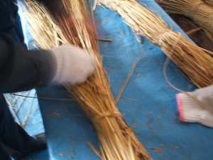 2013-12-15-044.jpg