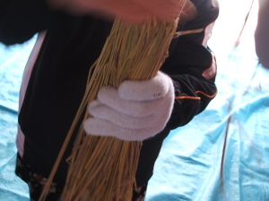 2013-12-15-050.jpg