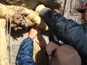 2013-12-15-083.jpg