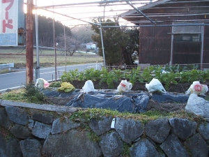 2013-12-24-001.jpg