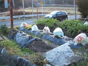 2013-12-24-002.jpg
