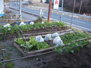 2013-12-24-007.jpg