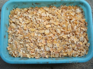 加熱圧ぺんとうもろこし20kg 2