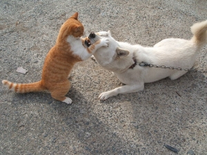 シロ&カラ