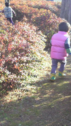 120212_2.jpg