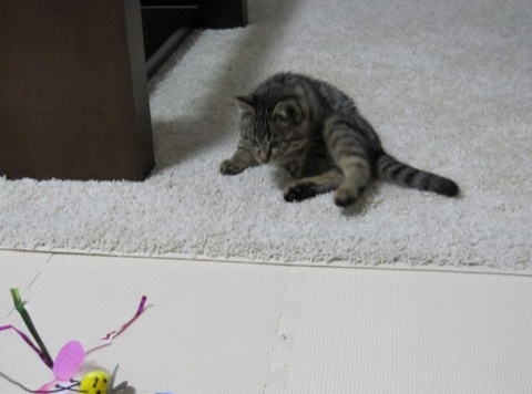 201311262234109b2.jpg