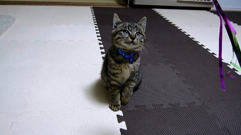 2013112622354919e.jpg