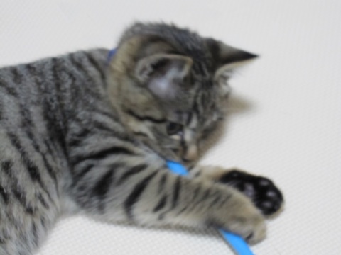 20131126223708499.jpg