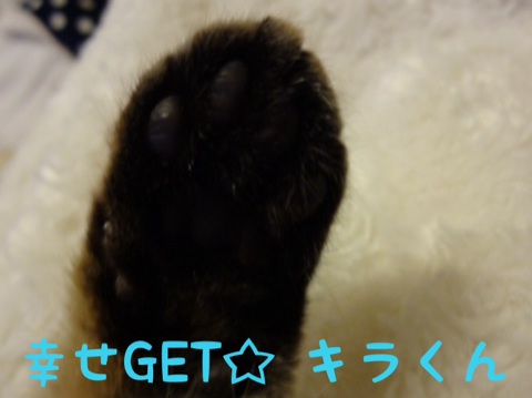 201311262239212cd.jpg