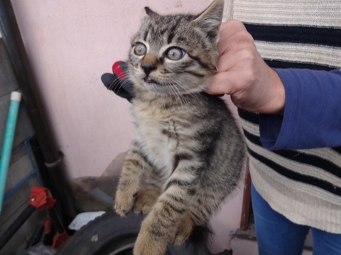 20131126233538d27.jpg