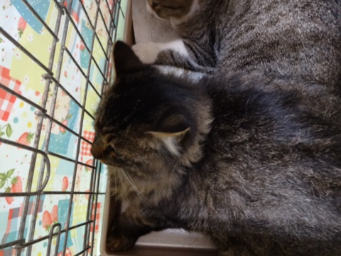 20131127205231abd.jpg