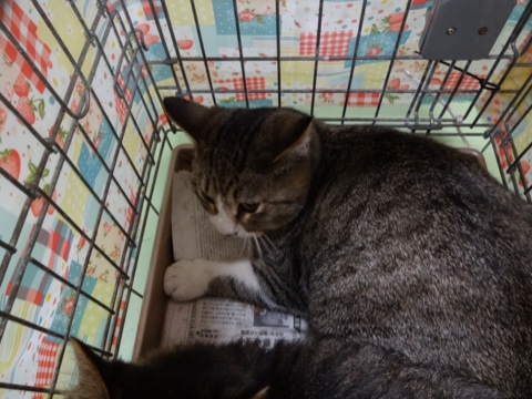 20131127205233149.jpg