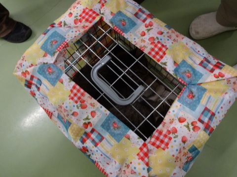 2013112720531888e.jpg