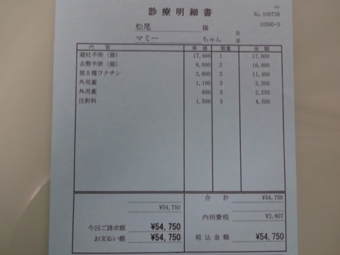 2013113010210829c.jpg