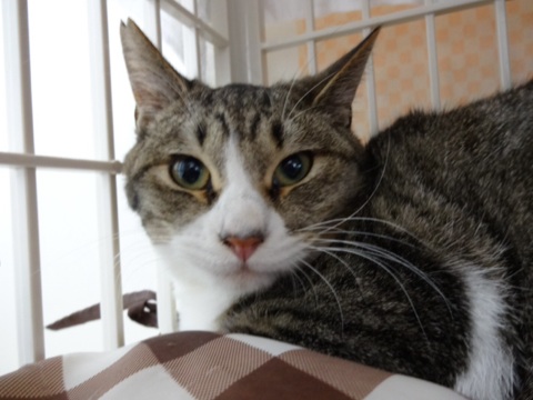 20131130102111956.jpg