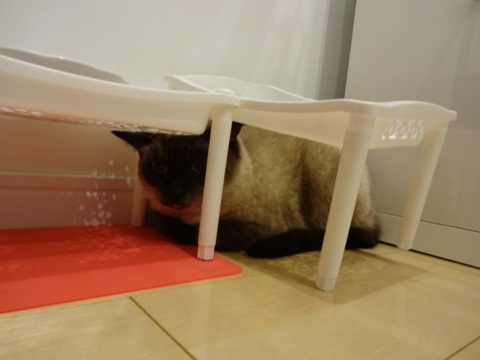 20131201030743b51.jpg