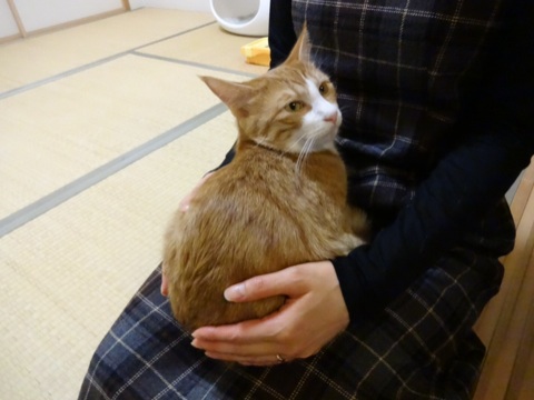 20131201031038a26.jpg