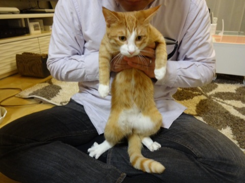 20131201031043db5.jpg
